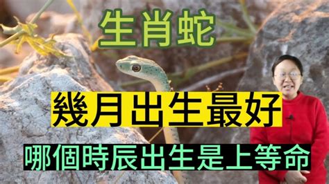 屬蛇幾月生好|【屬蛇幾月生好】屬蛇的命運：出生月份大公開，一生福氣指數大。